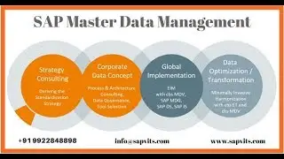SAP MDG Course Content Videos