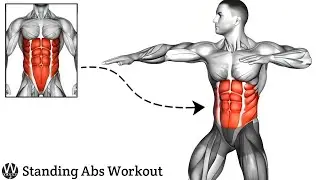 This is The Fastest Way To Get Six-Pack Abs ➡ Standing Abs Workout