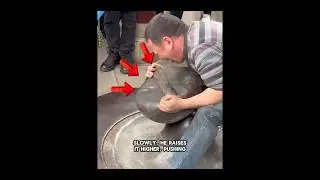 Can He Lift This Giant Stone?😱 #shorts