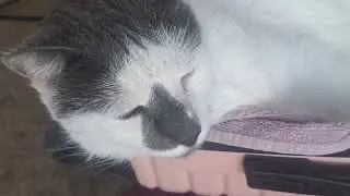 Save a stray kitty from being cold.  Make a bed or 2....  