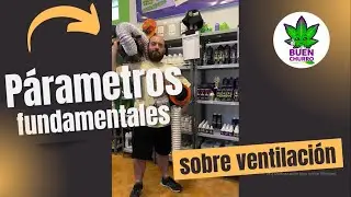 Ventilaci&oacute;n y VPD - Secretos para tener tus par&aacute;metros &oacute;ptimos para cultivo de cannabis - BuenChurro