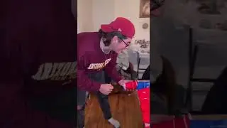 Best DIY drinking game ever! via getwastedd tiktok