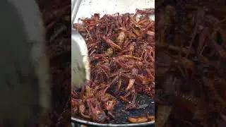 Crispy grasshopper fried