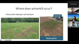 Fighting the Freeze: Winterkill and Spring Dead Spot Management Strategies