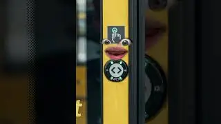 Huiuiuiuiui 🤭 &ndash; ganz sch&ouml;n flirty, diese L&ouml;wen.