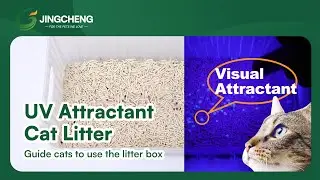 A Smarter Litter Box Solution: UV Attractant Cat Litter Demo 🐾