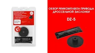 Обзор ремкомплекта привода дроссельной заслонки DZ-5 | Подходит для Audi A4