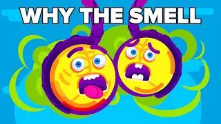 We’ve Discovered Why Your Balls Smell, and It’s Not Just Sweat