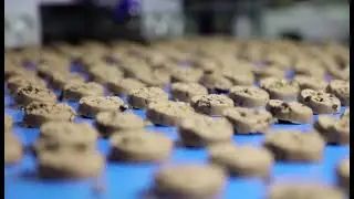 SINOBAKE/Vertical dough mixer/ cream mixer/300L mixer/cookie dough mixer
