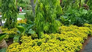 Brazilian modern Botanical Garden 2019 (Roberto Burle Marx)
