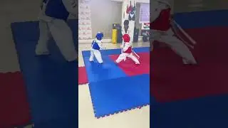 Watch the Most Incredible Taekwondo Kids Fight in #shorts