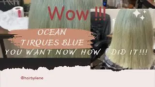 Transform Your Life with Stunning Hair Color Changes! @HairByLiene