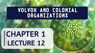 CH#01 Introduction to Biology | Lec#12 | Class 9 Sindh Board Biology
