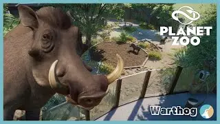 Building a Warthog Habitat | Summer Lane Zoo | Planet Zoo