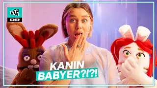 Kanin babyer?! | Under Dynen med Anna Lin | Ultra