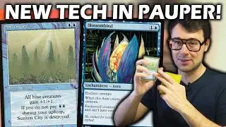 Mono U Faeries is becoming TOO GOOD in Pauper! | Pauper Tron vs Faeries | Mtg Paper Gameplay