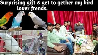 Surprising Gift & Get Together My All Bird lover Friends.