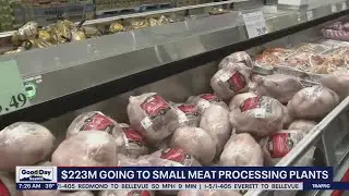 $223M going to small meat processing plants | FOX 13 Seattle