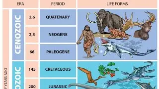 Geological Time Scale 