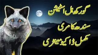 Gorakh Hill Station a beautiful range of Kheer Thar Mountain Urdu