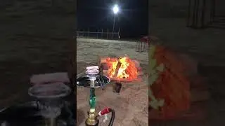 Shisha time3