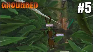Jungle Temple Yang Baru Keren Banget - Grounded Indonesia #5