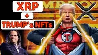 🚨Donald Trump&rsquo;s NFT Collection and Ripple XRP Opportunities for Expansion in NFT Market