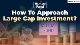 What Led To The Outperformance Of Large Caps? | The Mutual Fund Show