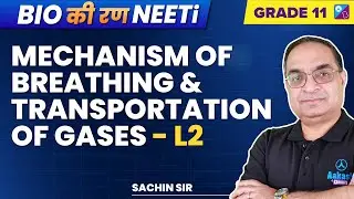 Breathing & Exchange of Gases Class 11 Biology -  Mechanism of Breathing | NEET 2023 | Sachin Sir