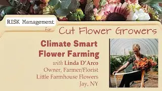 Climate Smart Flower Farming with Linda D'Arco of Little Farmhouse Flowers