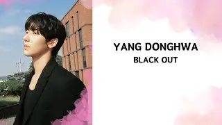 YANGDONGHWA (양동화)  - Blackout |LYRICS COLOR CODED