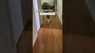 that meow was FRESH!