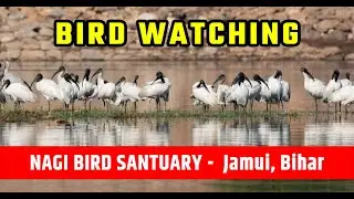 Bird Watching at Nagi Bird Sanctuary - Jamui, Bihar