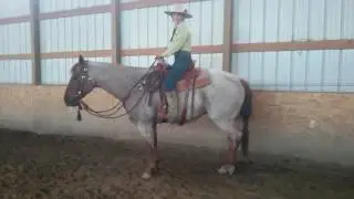 Buckaroo Leather Products Diamond M light Weight Ranch Saddle
