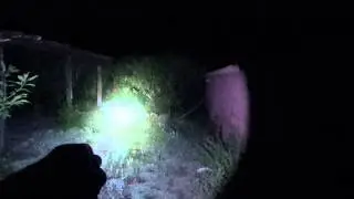 Fenix E25 (187 lumens) beamshot