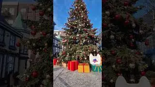Kerstboom designer outlet Roermond @TravelwithHugoF #kerst #kerstsfeer #roermond