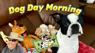 Dog Day Morning Yard Sale Shopping Bargains