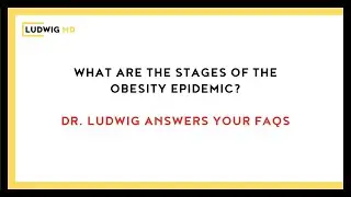 The Stages of The Obesity Epidemic