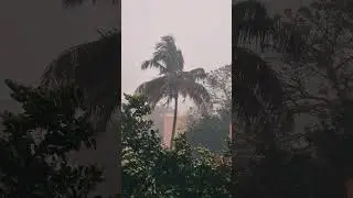 Finally Rain in Bengaluru | IISc Bangalore #shorts #iisc