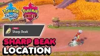 Sharp Beak Location In Pokemon Sword & Shield (Boost Flying Type Moves)