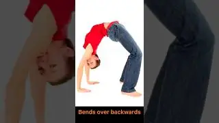 Can you bend over backwards?