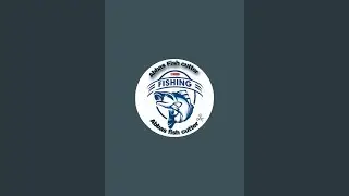 Abbas fish cutting is live