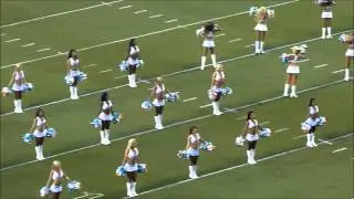 the miami dolphins cheerleaders
