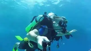 Diving GoPro HERO 4 Session - Tiran Island, Sharm-El-Sheikh, Egypt