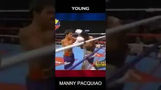 Sealed Legacy - Manny Pacquiao 2025