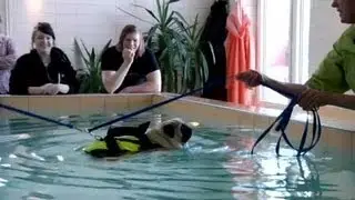 Veterinärerna: Följ med till Djursjukhuset