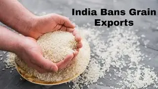 India's Ban on Grain Exports Will Cause Strains on Food Supply