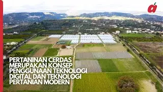 Seperti ini lah penggunaan teknologi digital dan modern dalam pertanian !!!