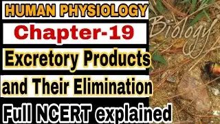 NCERT Ch-19 Excretory Products and their elimination Class XI Human Physiology lecture 1 Boards