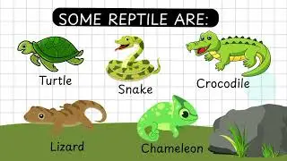 Animals Classification for kids | Mammals, Reptiles, Amphibians, Birds, Fish